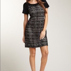 🎉HP🎉 PHOEBE COUTURE black lace short sleeve dress